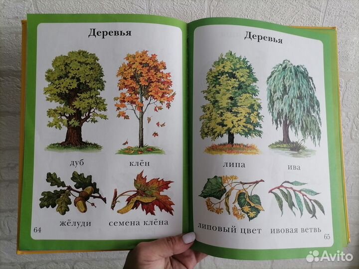 Моя первая книга. Энциклопедия малыша