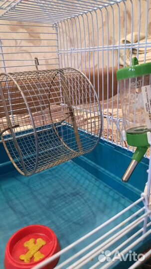 Клетка для сирийского хомяка