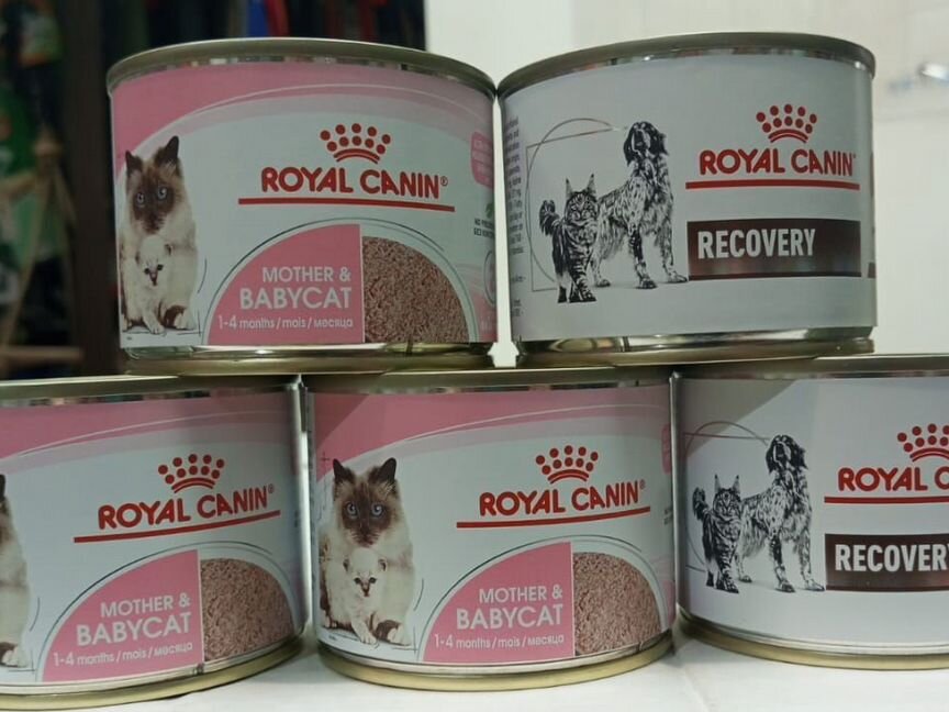 Корм Royal Canin Mother& Babycat , Recovery