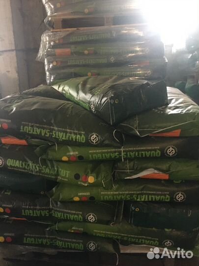 Овсяница красная Реверент Германия