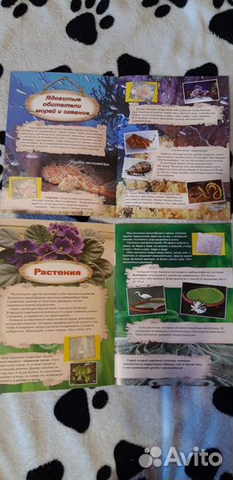 Атлас для детей с наклейками