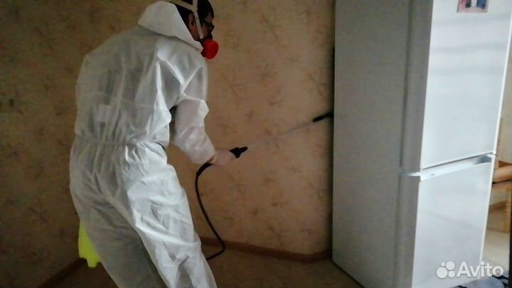 Уничтожение клопов, травить тараканов, клещей. Сэс