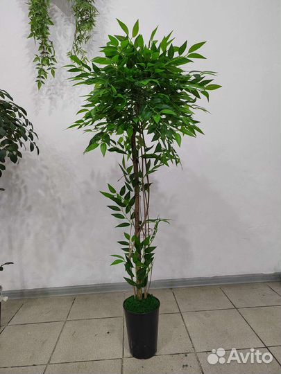 Дерево, предмет интерьера