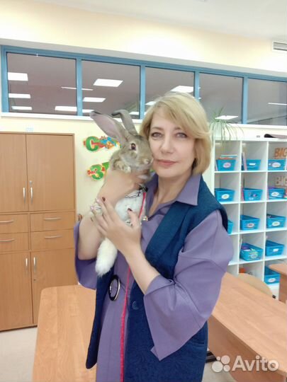 Репетитор начальных классов