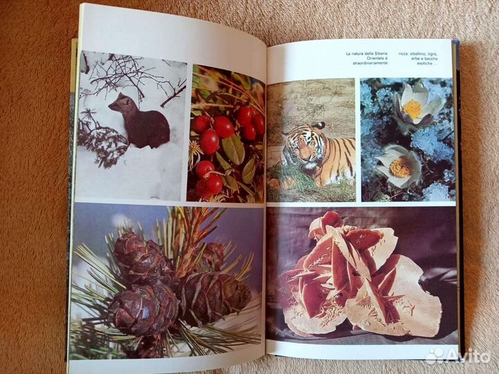 Иркутск путеводитель на итальянском языке