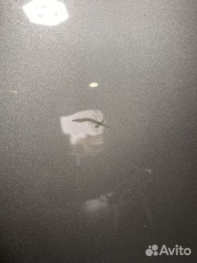 Серебристый Капот Audi A6 C6