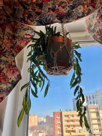 Кашпо подвесное макраме