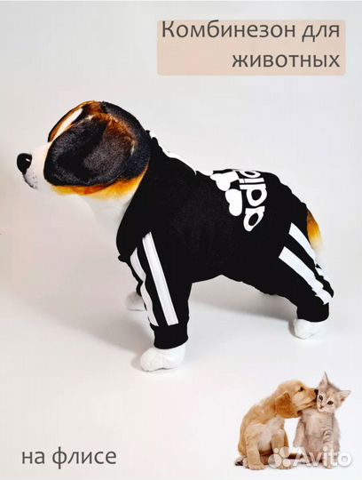 Одежда для собак мелких пород