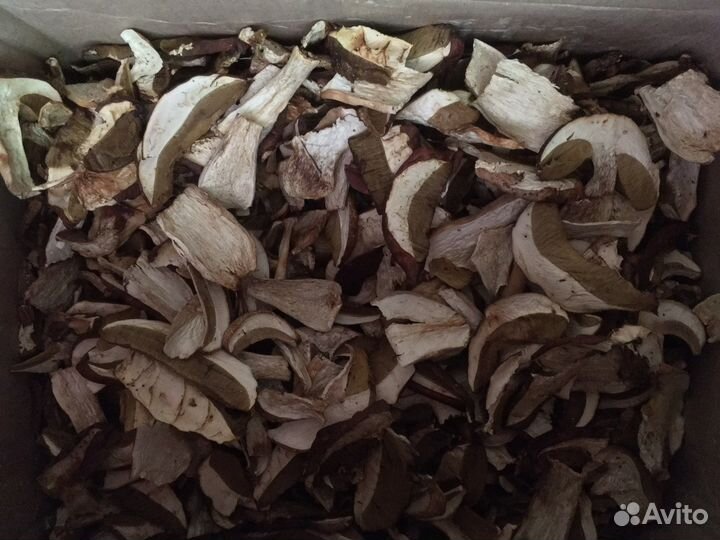 Продам белые сухие грибы из Соснового леса