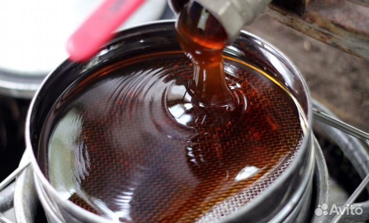 Мед луговой оптом