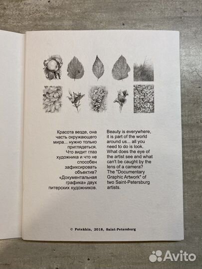 Ботаническая иллюстрация