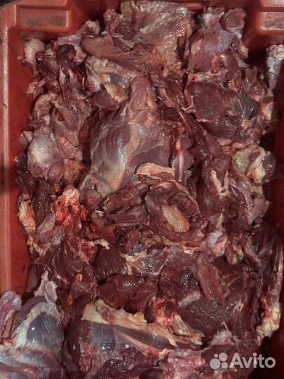 Гуляш говяжий