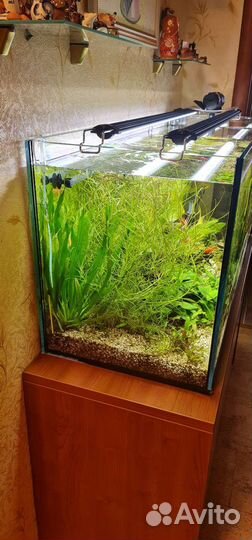 Аквариум под ключ(1100дх400шх510в)