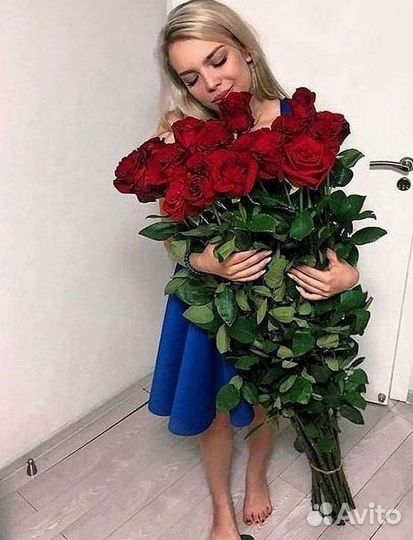 Розы Высокие 150см 160см 170см 180см 190см 2м