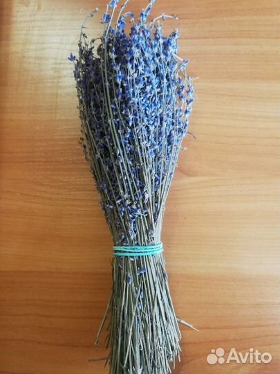 Лаванда сухоцвет