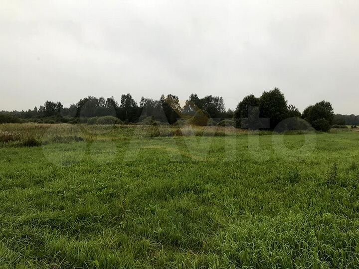 Участок 60 сот. (СНТ, ДНП)