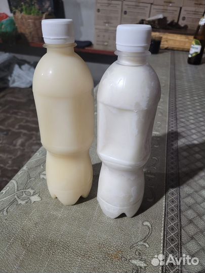 Барсучий жир