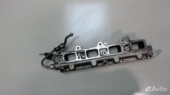 Рампа (рейка) топливная Seat Leon 2, 2008