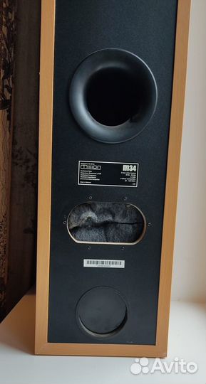 Корпуса от напольной акустической системы Mission