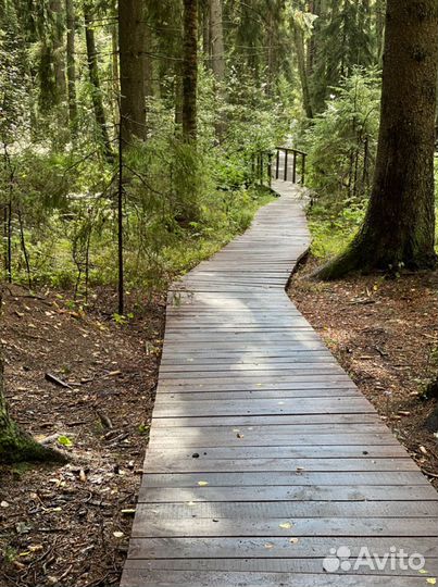 Психолог онлайн