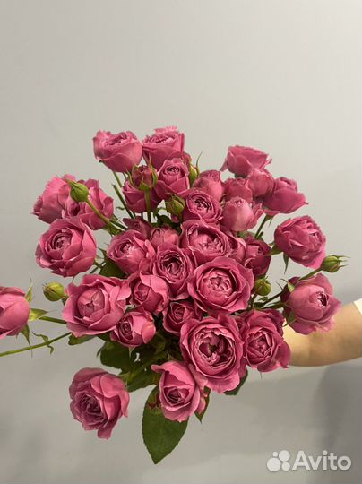 Цветы с доставкой