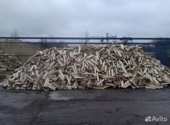 Дрова береза