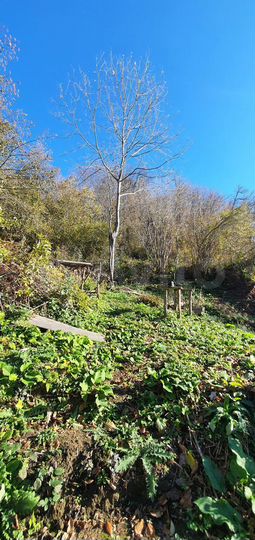 Участок 8,3 сот. (СНТ, ДНП)