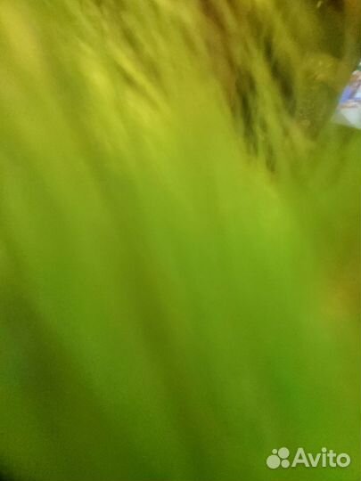 Шапка+снуд новые