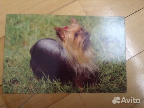 Продам открытки для вашей коллекции