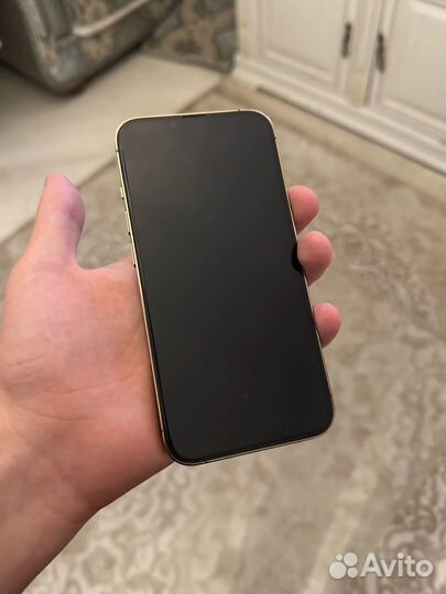 iPhone 13 pro