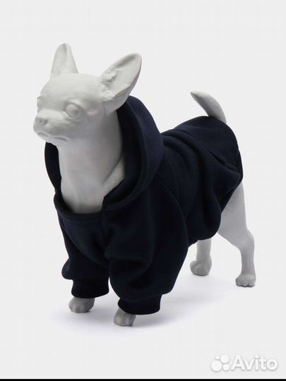 Одежда на чихуахуа