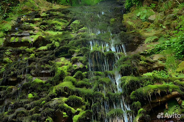 Экскурсии Абхазии Рица Пицунда