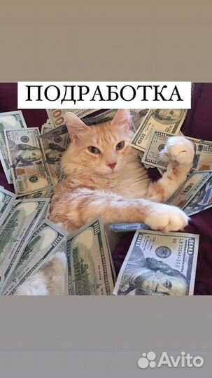 Промоутер У себя на районе