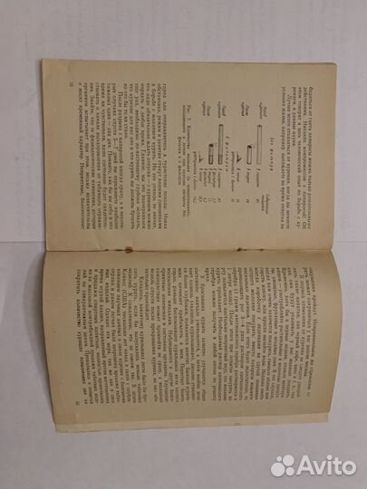Ю.И Рампан и А.Б.Сыркин 