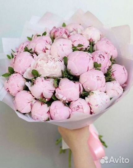 Пионы Цветы Доставка