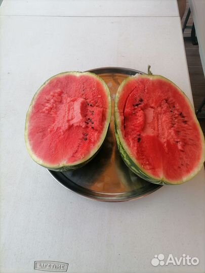 Арбузы оптом