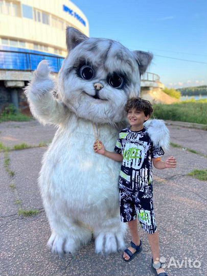 Поздравление Мишка.Мишка тедди.Чебурашка.Кот Мажор