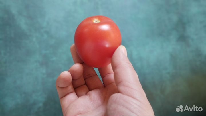 Фотофон виниловый 2 м на 1,38 м. В рулоне