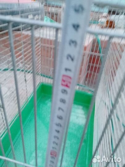 Клетка для грызунов