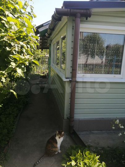 Дача 33 м² на участке 4,1 сот.