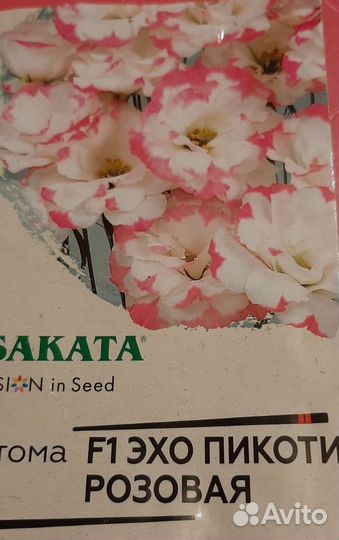 Эустома рассада