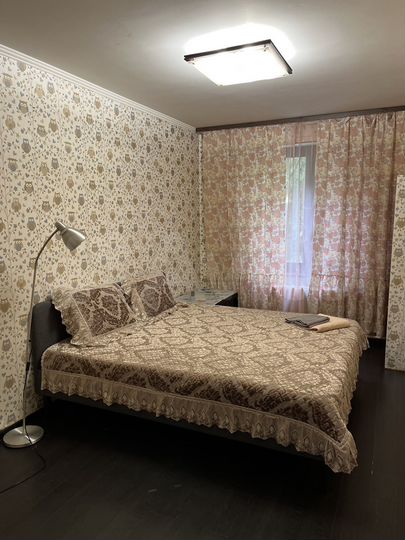 2-к. квартира, 45,1 м², 4/9 эт.