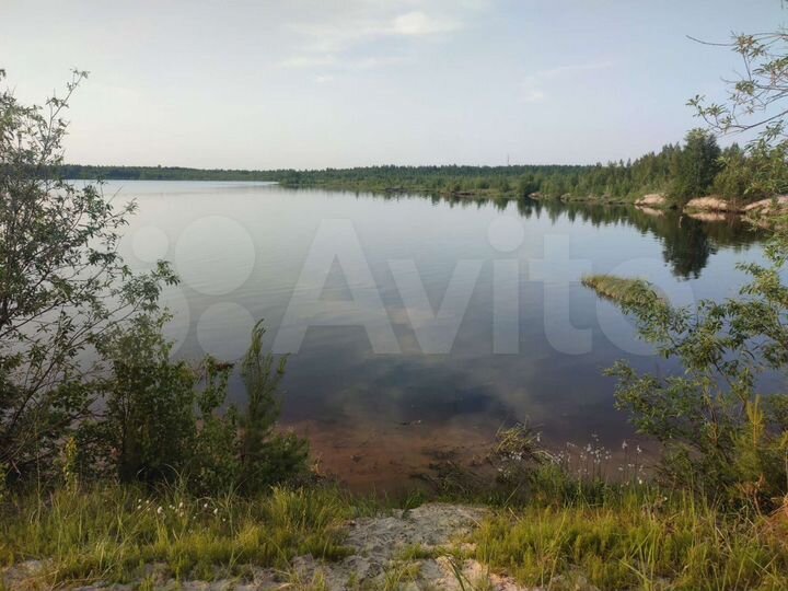 Участок 10 сот. (СНТ, ДНП)