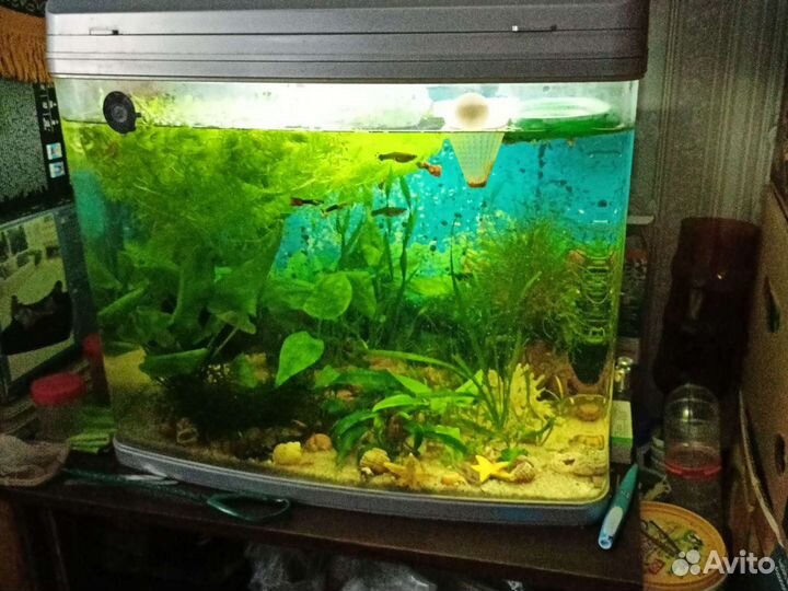 Аквариум Jebo 70л