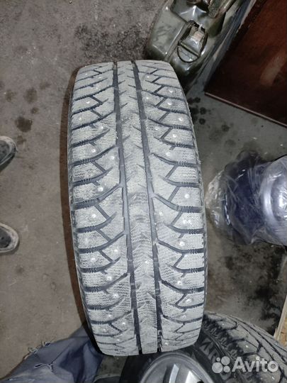 Колоса зимнии