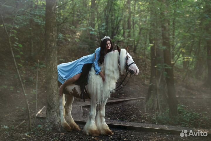 Фотосессии с лошадьми конный фотограф