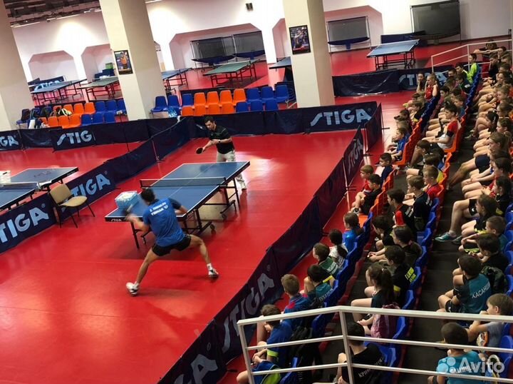 Спарринг- тренер по настольному теннису