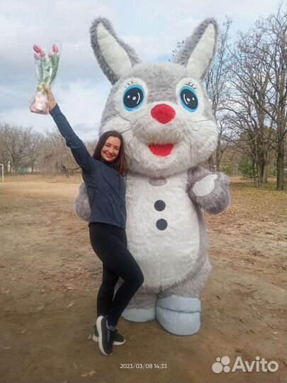 Поздравление от зайки