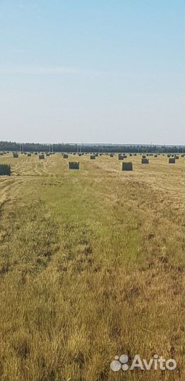 Сено в рулонах