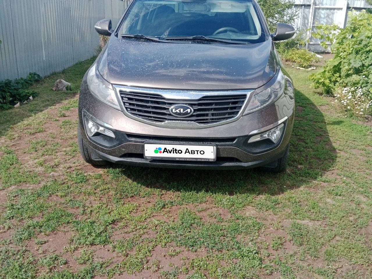 Kia Sportage: фото владельца